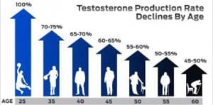testosterone production